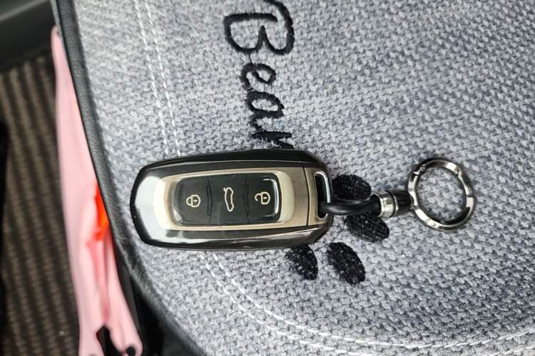 Used Geely Galaxy Panda 2024 Panda Mini 200km Endurance Bear Vehicle Key