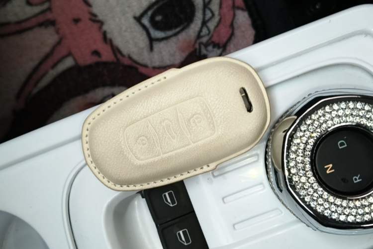 Used Geely Galaxy Panda 2024 Panda Mini 200km Endurance Bear Vehicle Key