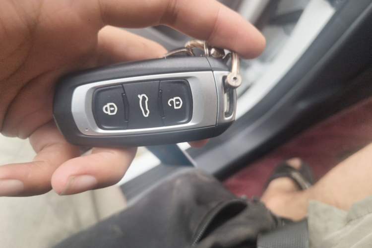 Used Geely Galaxy Panda 2024 Panda Mini 200km Endurance Bear Vehicle Key