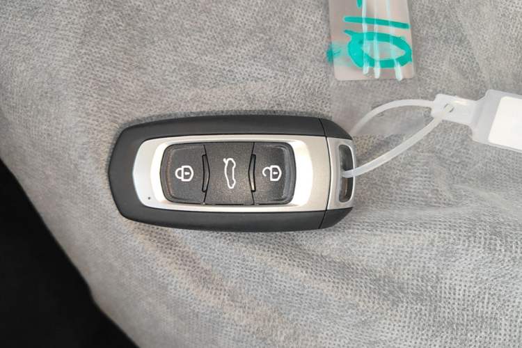 Used Geely Galaxy Panda 2024 Panda Mini 200km Endurance Bear Vehicle Key