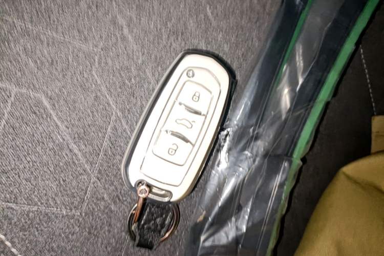 Used Geely Galaxy Panda 2024 Panda Mini 200km Dragon Edition Vehicle Key