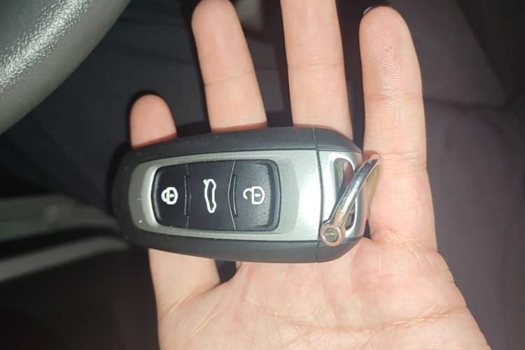 Used Geely Galaxy Panda 2024 Panda Mini 200km Endurance Bear Vehicle Key