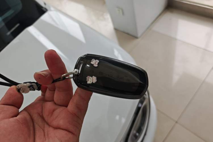 Used Geely Galaxy Panda 2024 Panda Mini 200km Endurance Bear Vehicle Key