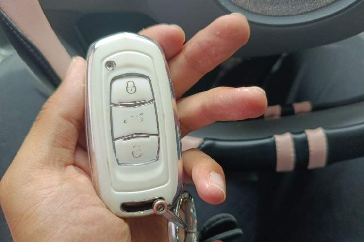 Used Geely Galaxy Panda 2024 Panda Mini 200km Endurance Bear Vehicle Key