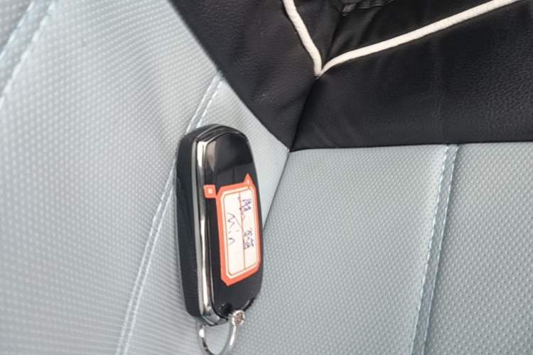 Used Geely Galaxy Panda 2024 Panda Mini 200km Endurance Bear Vehicle Key