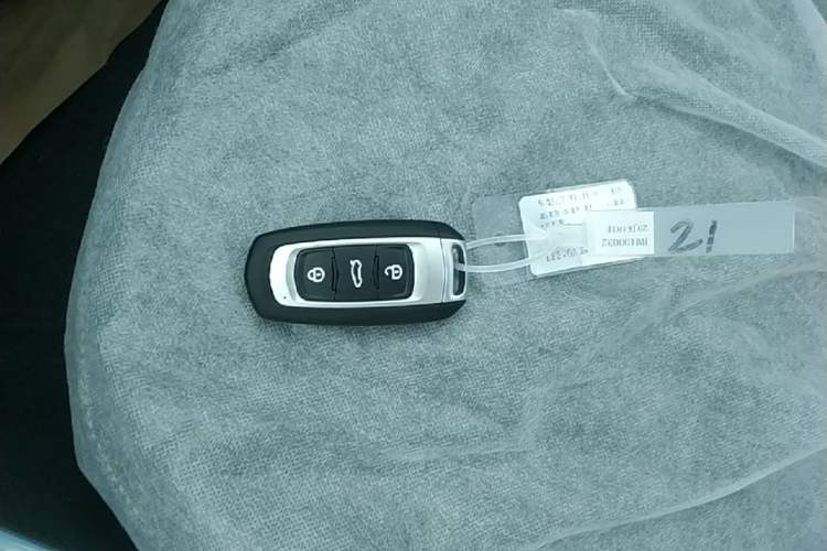 Used Geely Galaxy Panda 2024 Panda Mini 200km Endurance Bear Vehicle Key