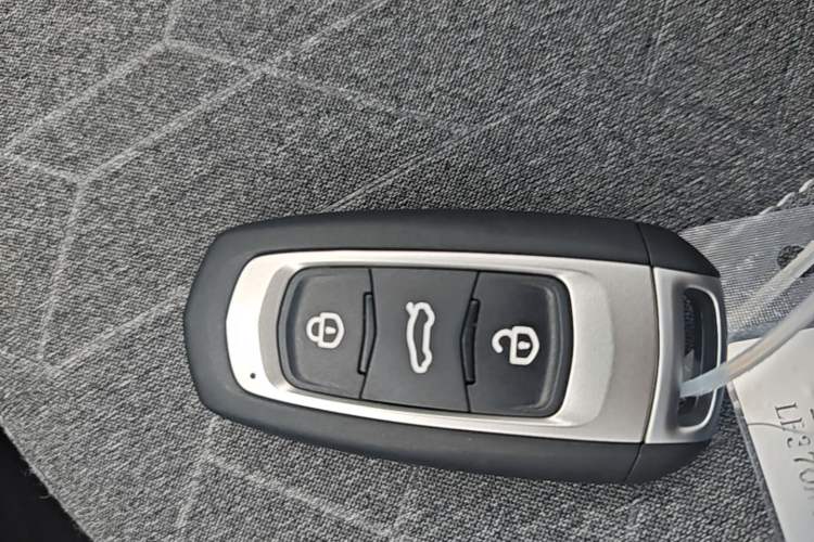 Used Geely Galaxy Panda 2024 Panda Mini 200km Endurance Bear Vehicle Key
