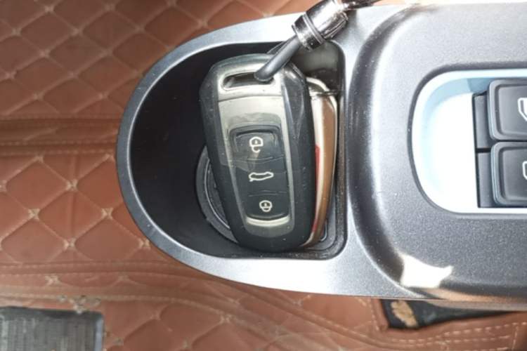 Used Geely Galaxy Panda 2024 Panda Mini 200km Endurance Bear Vehicle Key