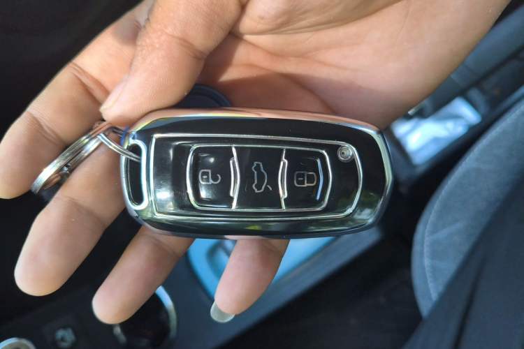 Used Geely Galaxy Panda 2024 Panda Mini 200km Endurance Bear Vehicle Key