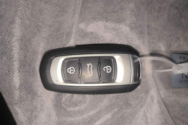 Used Geely Galaxy Panda 2024 Panda Mini 200km Endurance Bear Vehicle Key