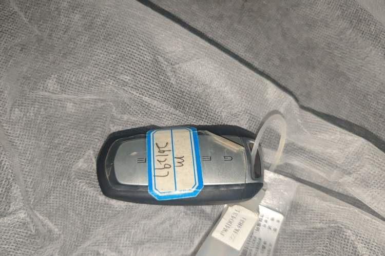 Used Geely Galaxy Panda 2024 Panda Mini 200km Endurance Bear Vehicle Key