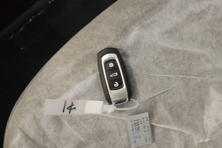 Used Geely Galaxy Panda 2024 Panda Mini 200km Endurance Bear Vehicle Key