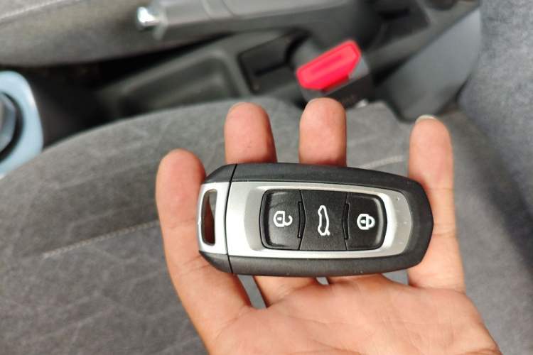 Used Geely Galaxy Panda 2024 Panda Mini 200km Endurance Bear Vehicle Key