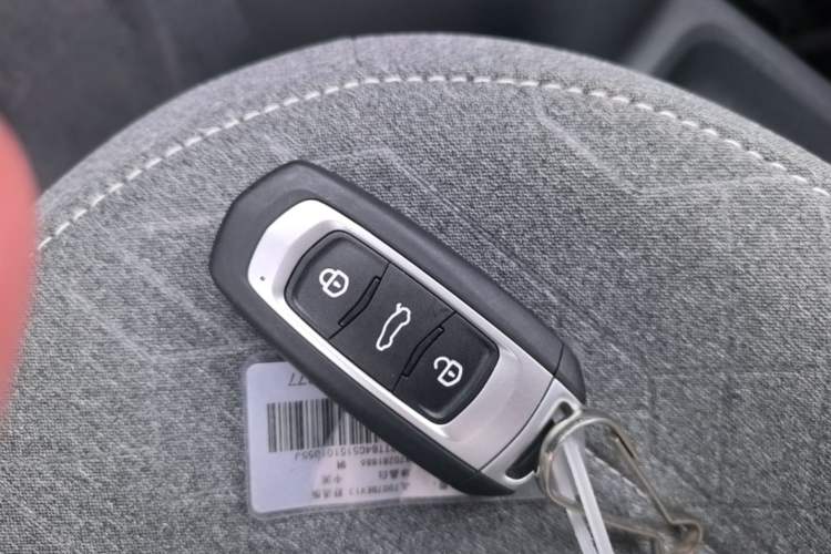 Used Geely Galaxy Panda 2024 Panda Mini 200km Endurance Bear Vehicle Key