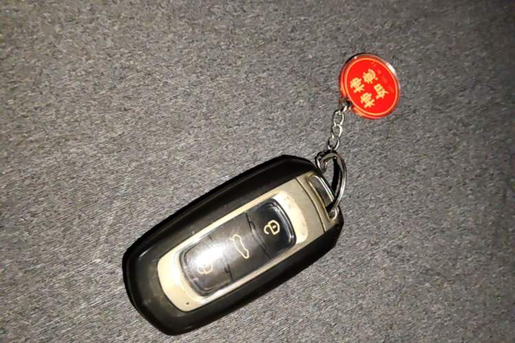 Used Geely Galaxy Panda 2024 Panda Mini 200km Endurance Bear Vehicle Key
