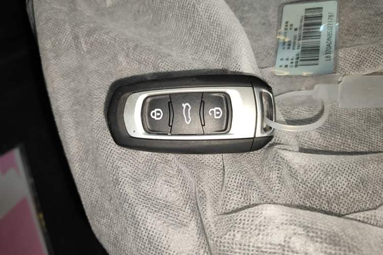 Used Geely Galaxy Panda 2024 Panda Mini 200km Endurance Bear Vehicle Key