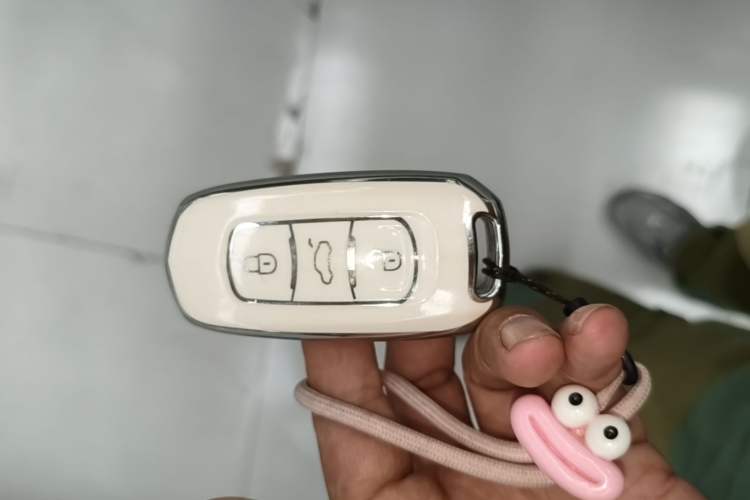 Used Geely Galaxy Panda 2024 Panda Mini 200km Endurance Bear Vehicle Key