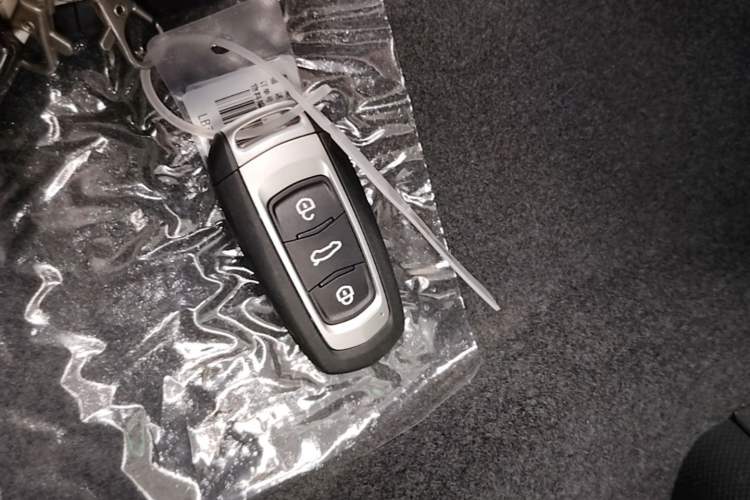Used Geely Galaxy Panda 2024 Panda Mini 200km Endurance Bear Vehicle Key