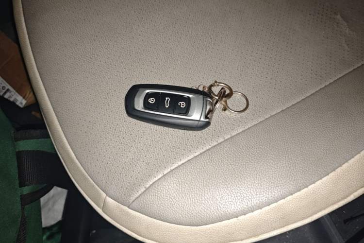 Used Geely Galaxy Panda 2024 Panda Mini 200km Endurance Bear Vehicle Key