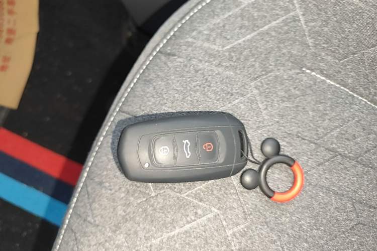 Used Geely Galaxy Panda 2024 Panda Mini 200km Endurance Bear Vehicle Key
