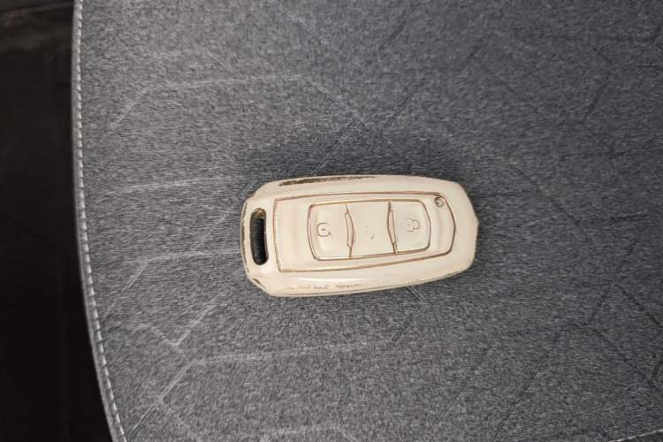 Used Geely Galaxy Panda 2024 Panda Mini 200km Endurance Bear Vehicle Key