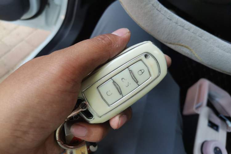 Used Geely Galaxy Panda 2024 Panda Mini 200km Endurance Bear Vehicle Key