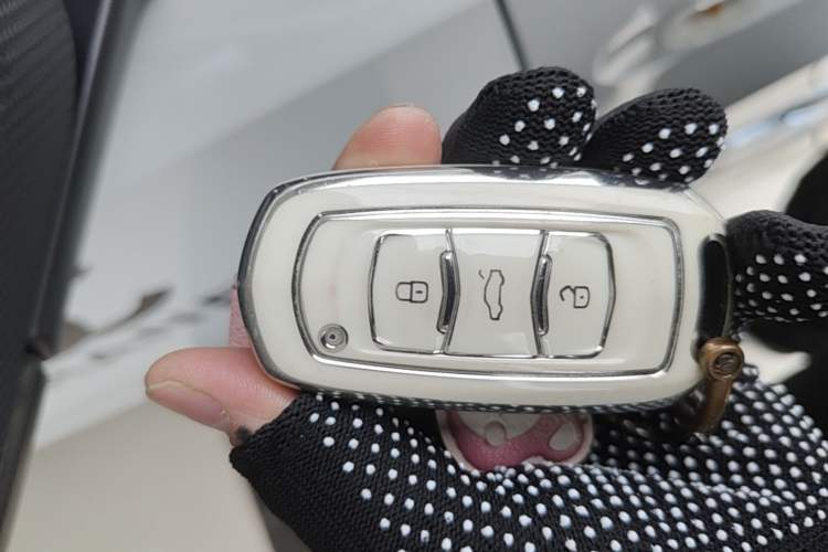 Used Geely Galaxy Panda 2024 Panda Mini 200km Longteng PRO Edition Vehicle Key