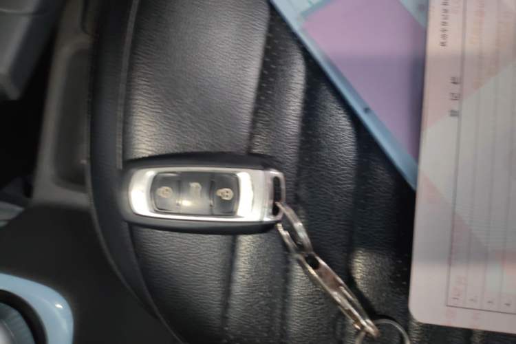 Used Geely Galaxy Panda 2024 Panda Mini 200km Endurance Bear Vehicle Key