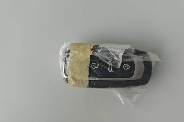 Used Geely Galaxy Panda 2024 Panda Mini 200km Endurance Bear Vehicle Key