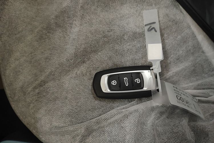 Used Geely Galaxy Panda 2024 Panda Mini 200km Endurance Bear Vehicle Key