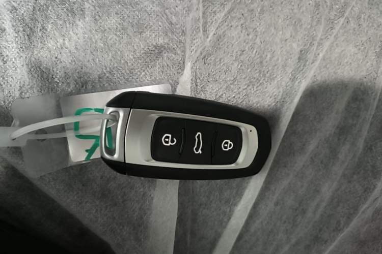 Used Geely Galaxy Panda 2024 Panda Mini 200km Endurance Bear Vehicle Key