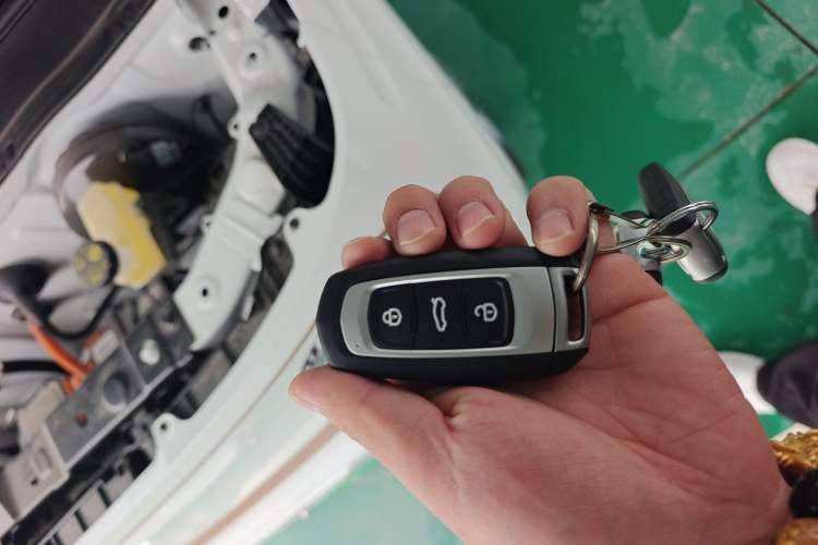 Used Geely Galaxy Panda 2024 Panda Mini 200km Endurance Bear Vehicle Key