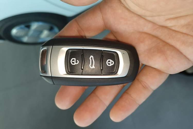 Used Geely Galaxy Panda 2024 Panda Mini 200km Endurance Bear Vehicle Key