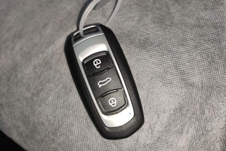 Used Geely Galaxy Panda 2024 Panda Mini 200km Endurance Bear Vehicle Key