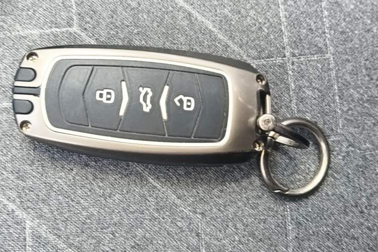 Used Geely Galaxy Panda 2024 Panda Mini 200km Endurance Bear Vehicle Key