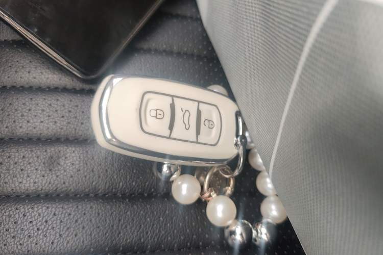 Used Geely Galaxy Panda 2024 Panda Mini 200km Endurance Bear Vehicle Key