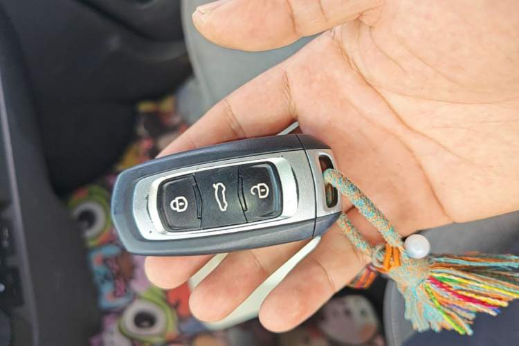 Used Geely Galaxy Panda 2024 Panda Mini 200km Endurance Bear Vehicle Key