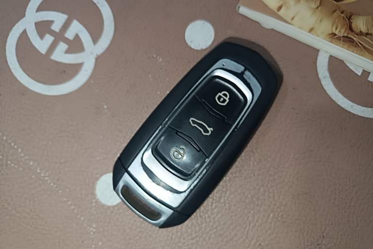Used Geely Galaxy Panda 2024 Panda Mini 200km Endurance Bear Vehicle Key