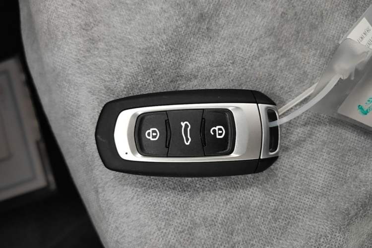 Used Geely Galaxy Panda 2024 Panda Mini 200km Endurance Bear Vehicle Key