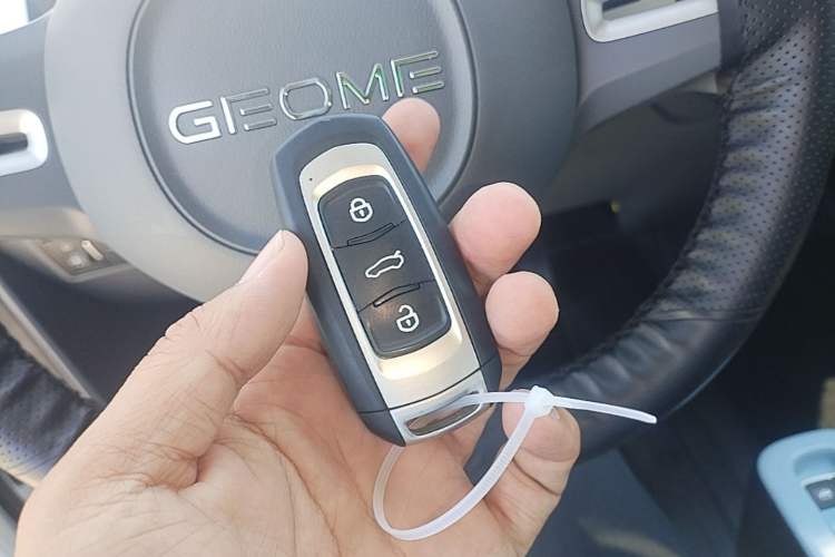 Used Geely Galaxy Panda 2024 Panda Mini 200km Endurance Bear Vehicle Key