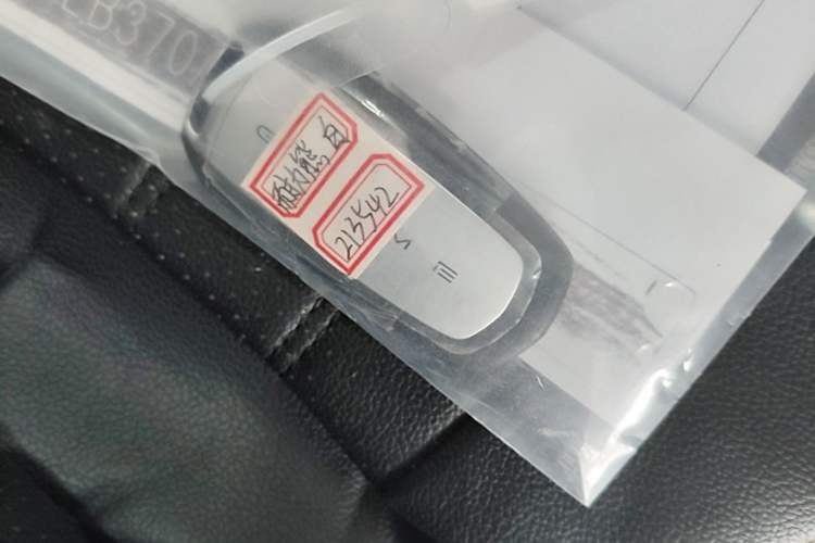 Used Geely Galaxy Panda 2024 Panda Mini 200km Endurance Bear Vehicle Key