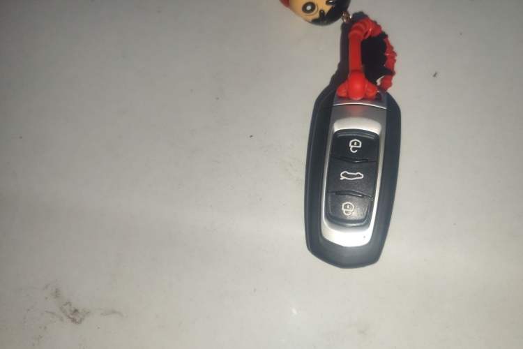 Used Geely Galaxy Panda 2024 Panda Mini 200km Endurance Bear Vehicle Key