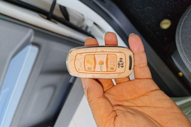 Used Geely Galaxy Panda 2024 Panda Mini 200km Endurance Bear Vehicle Key