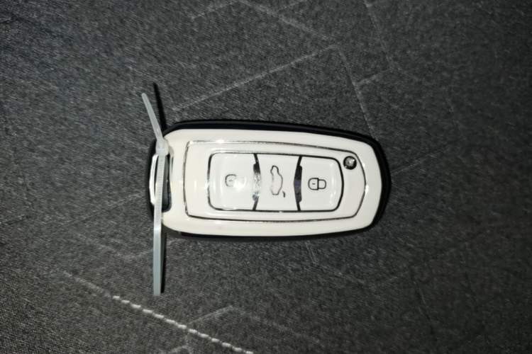 Used Geely Galaxy Panda 2024 Panda Mini 200km Endurance Bear Vehicle Key