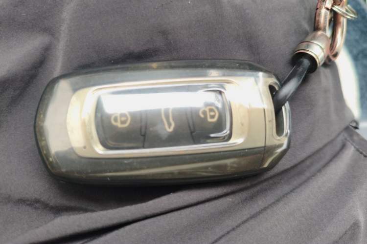 Used Geely Galaxy Panda 2024 Panda Mini 200km Endurance Bear Vehicle Key