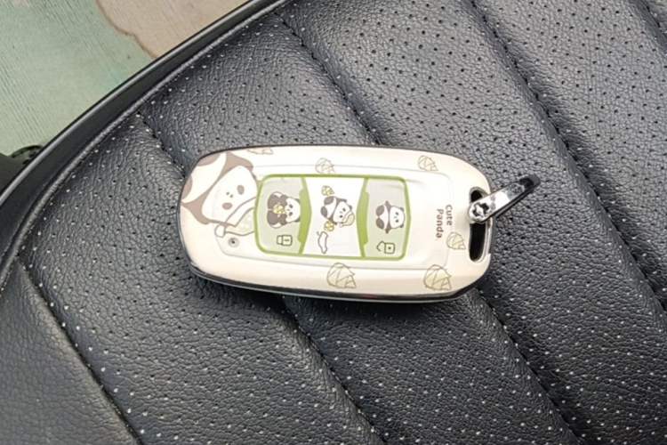 Used Geely Galaxy Panda 2024 Panda Mini 200km Longteng PRO Edition Vehicle Key