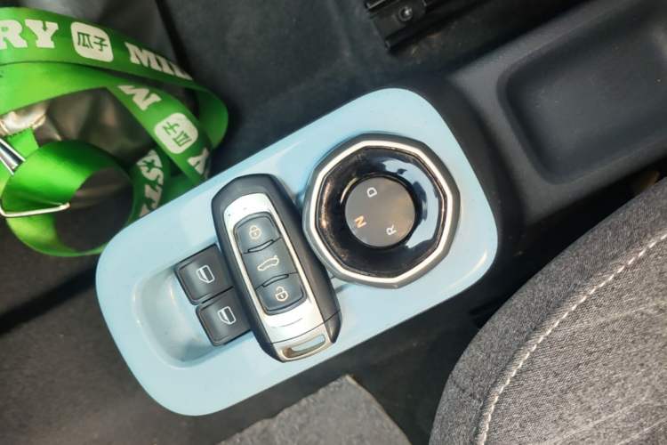 Used Geely Galaxy Panda 2024 Panda Mini 200km Endurance Bear Vehicle Key