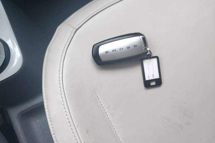 Used Geely Galaxy Panda 2024 200km Panda Rider Vehicle Key