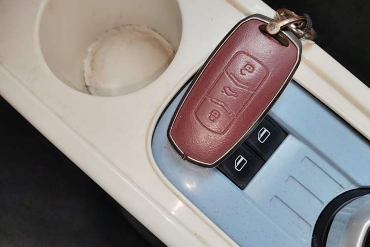 Used Geely Galaxy Panda 2024 Panda Mini 200km Endurance Bear Vehicle Key