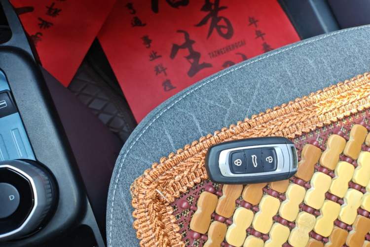 Used Geely Galaxy Panda 2024 Panda Mini 200km Endurance Bear Vehicle Key